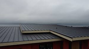 Best Roof Coating Services  in Clark, SD